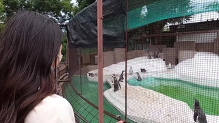 229SCUTE-1236 りな