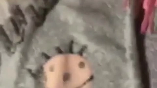 蜜臀人妻一区二区三区四区在线白丝小骚货假鸡巴插菊花自慰爽到爆粗口
