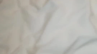 二零二三九月三号_小糖果