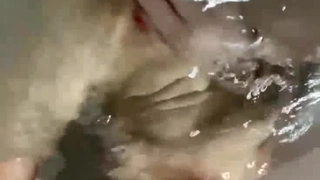 正妹伴娘伸出魔爪~用妖力把人夫抢了过来?!性爱影片被正宫取得~人夫大崩溃!!